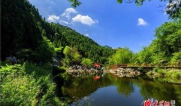 泰山景区爆料人是谁啊最新消息,泰山景区爆料人最新身份揭晓！