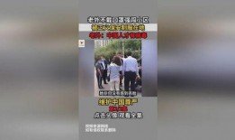 老外爆料病毒视频播放,老外爆料背后的真相与争议
